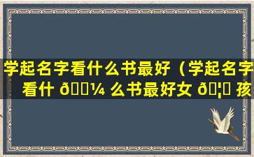 学起名字看什么书最好（学起名字看什 🐼 么书最好女 🦁 孩）